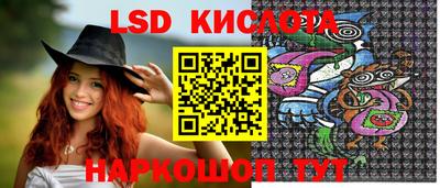 кокс Донской