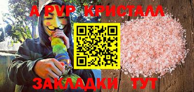 кокс Донской