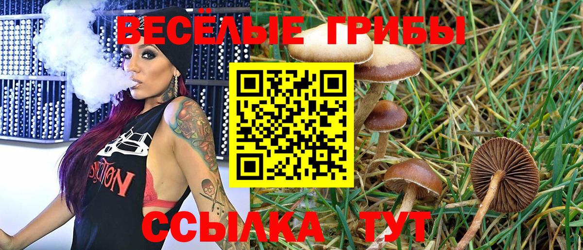 Галлюциногенные грибы Cubensis  Псилоцибиновые грибы мицелий  Вход с VPN  Нововоронеж 